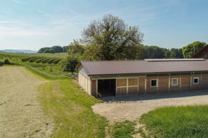 Pensionsstall Schlatter, Dörflingen (SH)